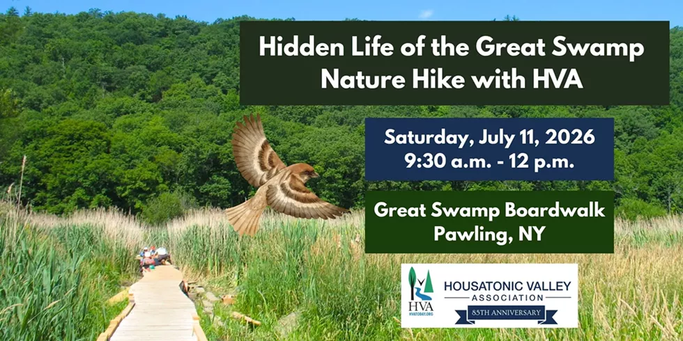 Hidden Life of the Great Swamp Nature Hike with HVA