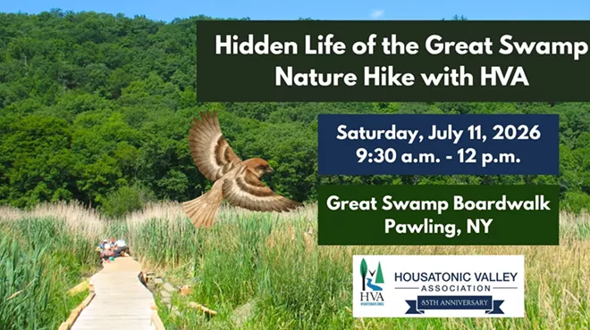 Image: Hidden Life of the Great Swamp Nature Hike with HVA