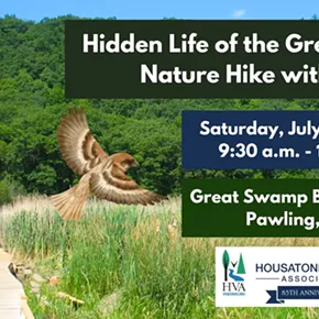 Image: Hidden Life of the Great Swamp Nature Hike with HVA