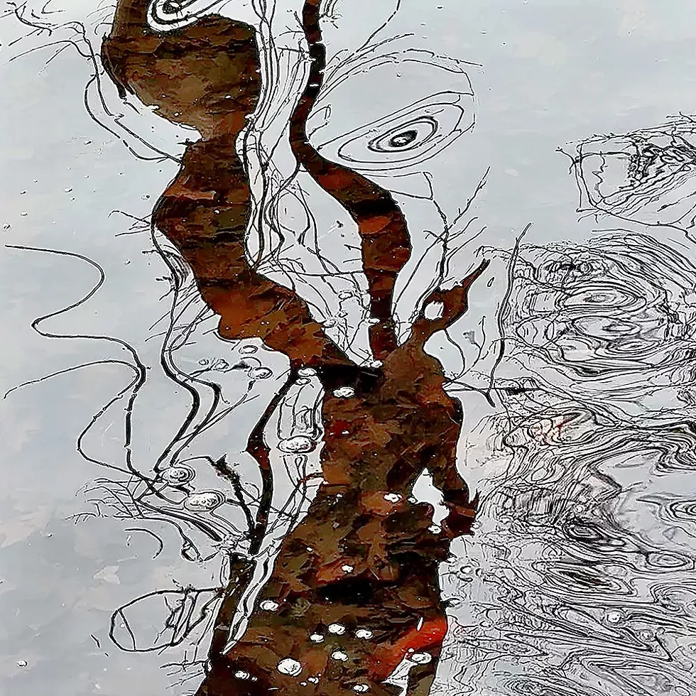 From "Histoires d'Eau" series