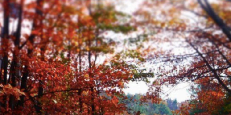 Image: History, Poetry & the Arts at Steepletop: A Fall Open House