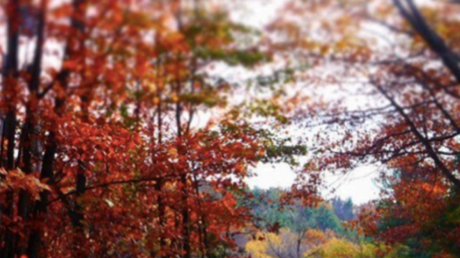 Image: History, Poetry & the Arts at Steepletop: A Fall Open House
