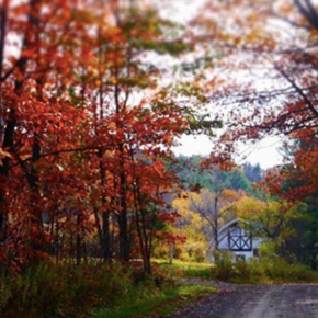 Image: History, Poetry & the Arts at Steepletop: A Fall Open House
