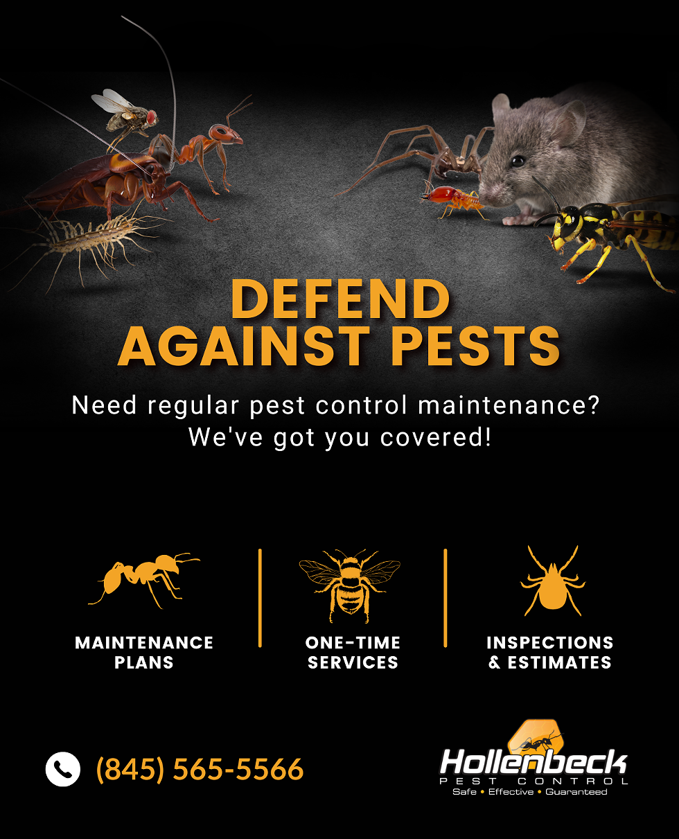 Hollenbeck Pest Control