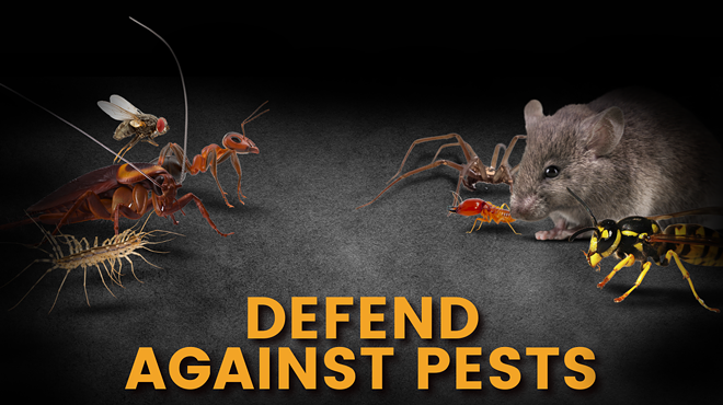 Image: Hollenbeck Pest Control