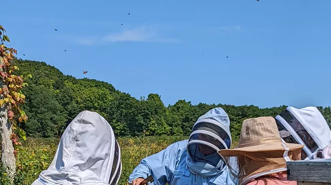 Image: Honey Harvest: End of Summer Pollinator Walk with Fox Farm Apiary