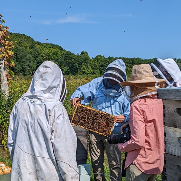Honey Harvest: End of Summer Pollinator Walk with Fox Farm Apiary