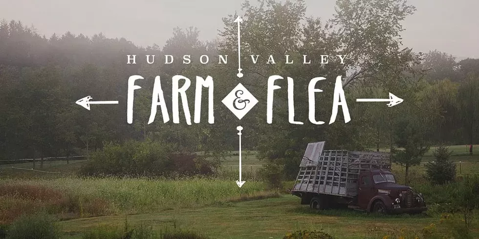 hvfarmandflea.webp