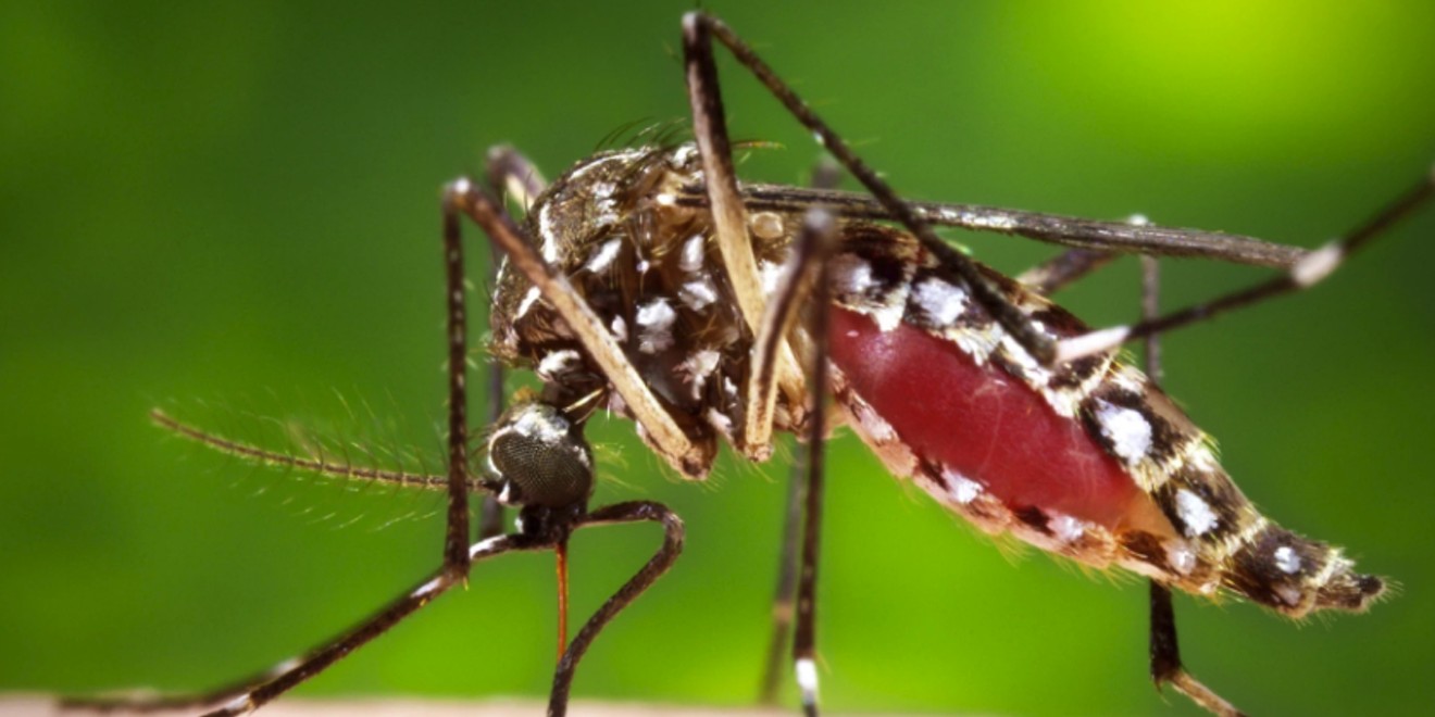 Hudson Valley Health Officials Concerned About Eastern Equine Encephalitis