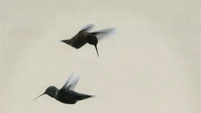 Image: IN SYNC