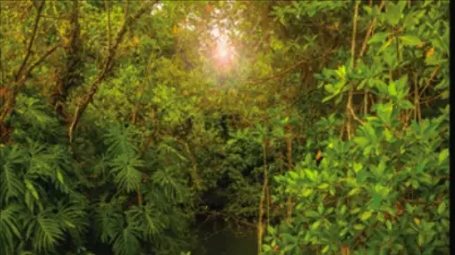 Image: "In the Garden of Eden"