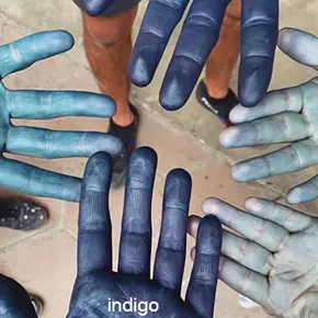 Image: Indigo Community Dye Bath with Hanoux
