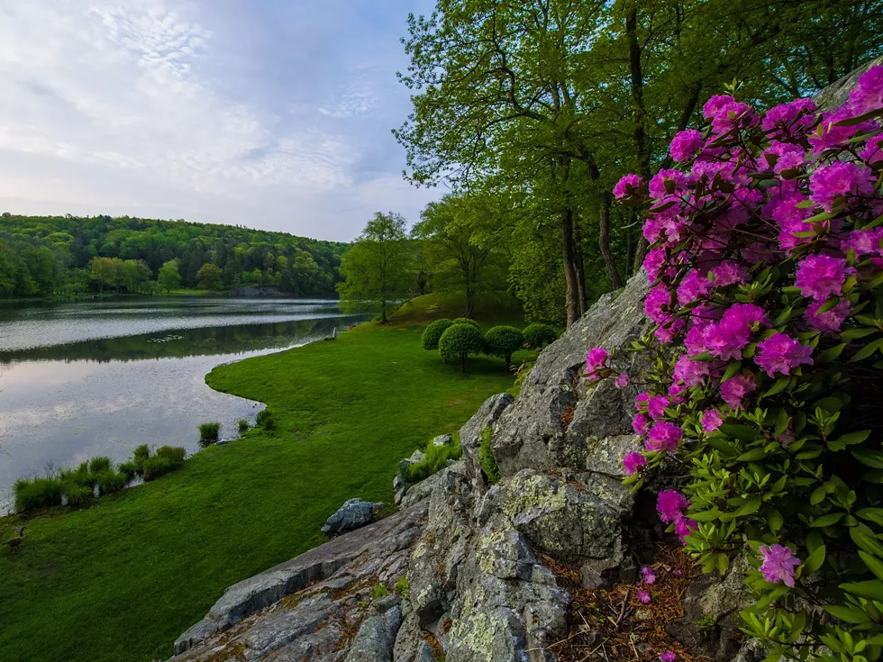 photo-25-a-spring-view-toward-the-lake-at-innisfree-2000x.webp