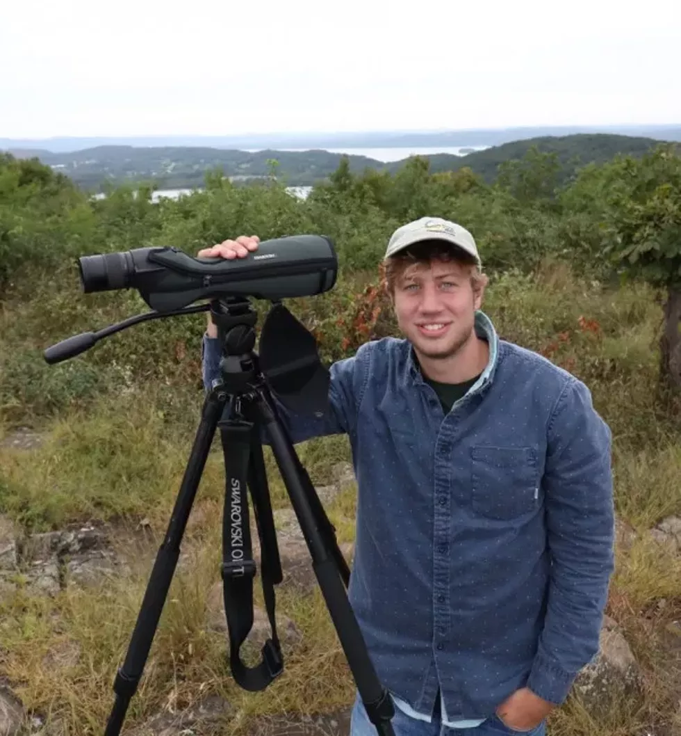 birding.webp