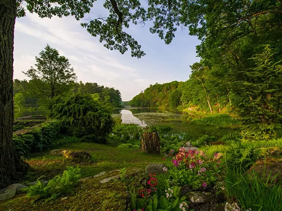 photo-26_the_point___lotus_bog__looking_toward_channel_crossingsmall.webp