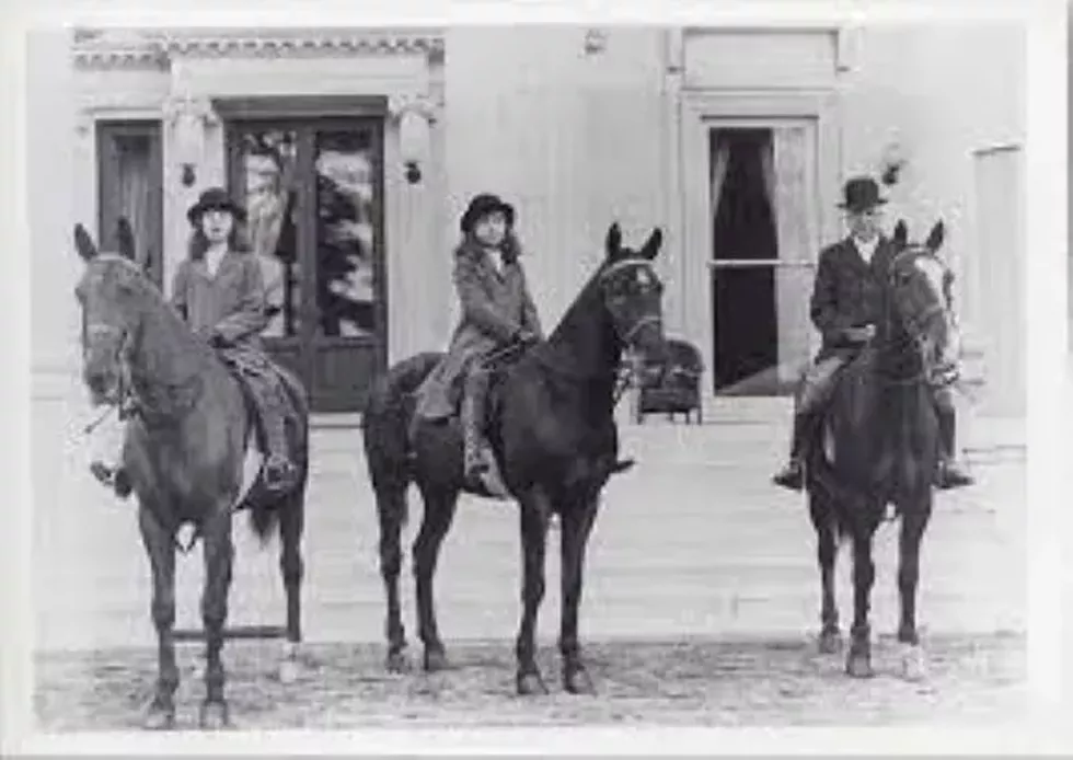 animals-children-riding-horses.webp