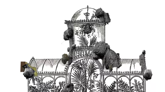 Image: "Invernadero herido (para Huerta) (2025)"