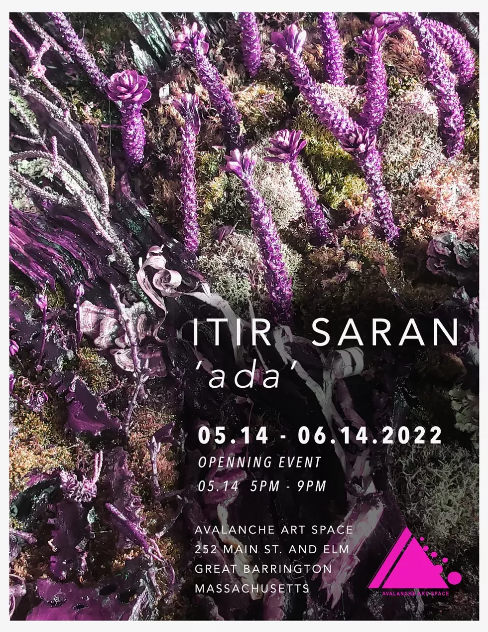 avalanche_itir_saran.webp