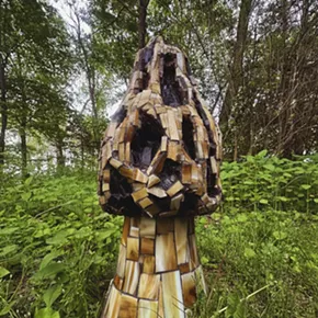 Image: Jason Middlebrook: Fun with Fungi