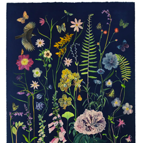 Image: "Julia Whitney Barnes: Cyanopaintings and the Botanical World"