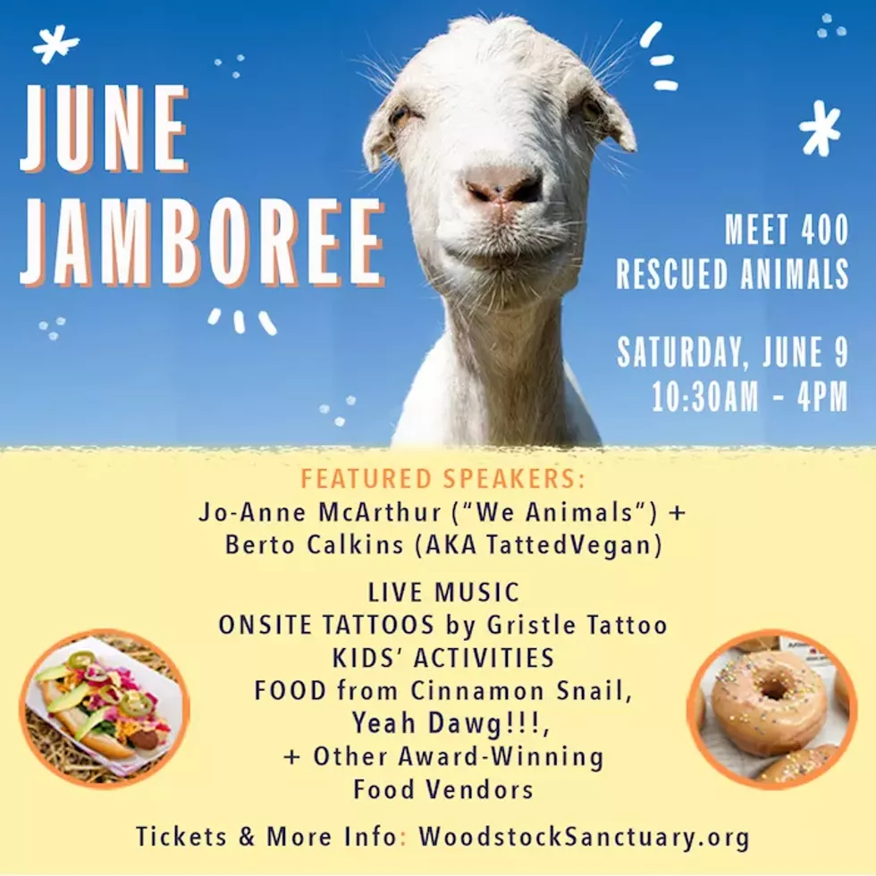 22bf0c43_junejamboree_socialsquare.webp