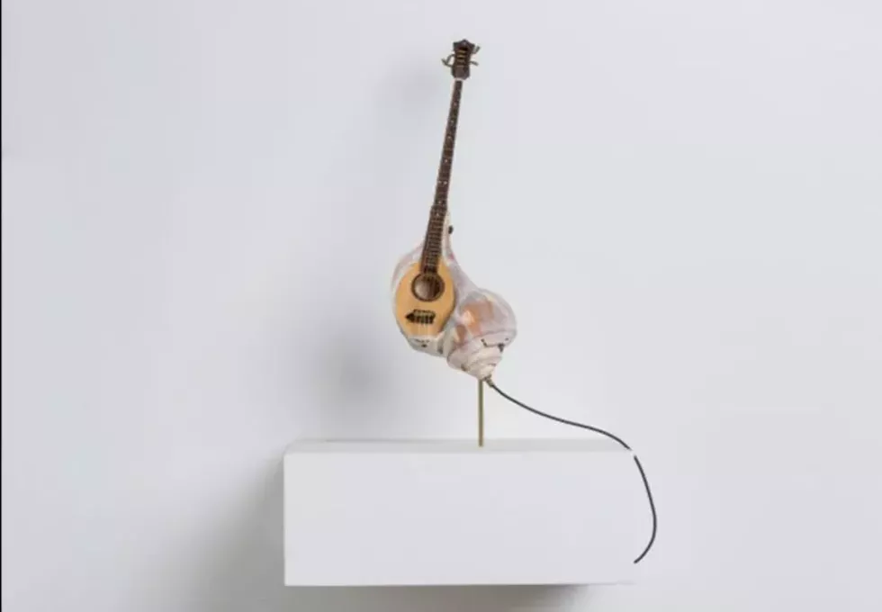 Kazumi Tanaka, She Shall Mandolin, 2016, Channeled whelk shell, wood, metal string, mother of pearl, old piano key, brass, 11.5h x 4w x 3d in