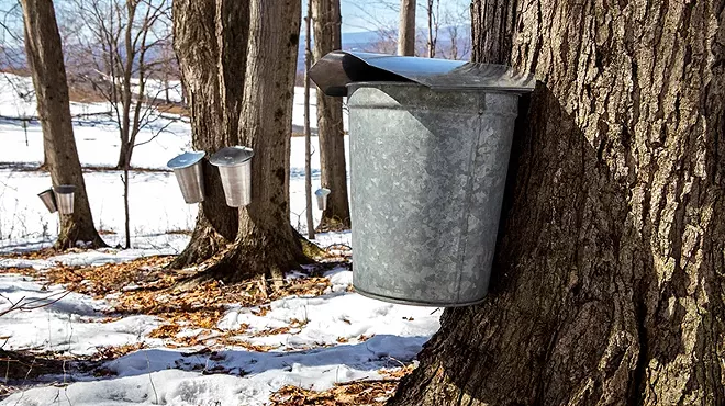 Image: Kids' Day in the Sugar Bush