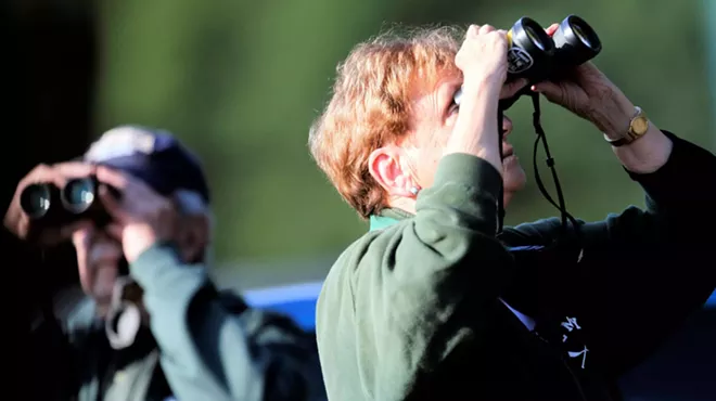 Image: Labor Day Weekend Bird Walk with Alan Devoe Bird Club