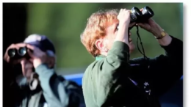 Image: Labor Day Weekend Bird Walk with Alan Devoe Bird Club