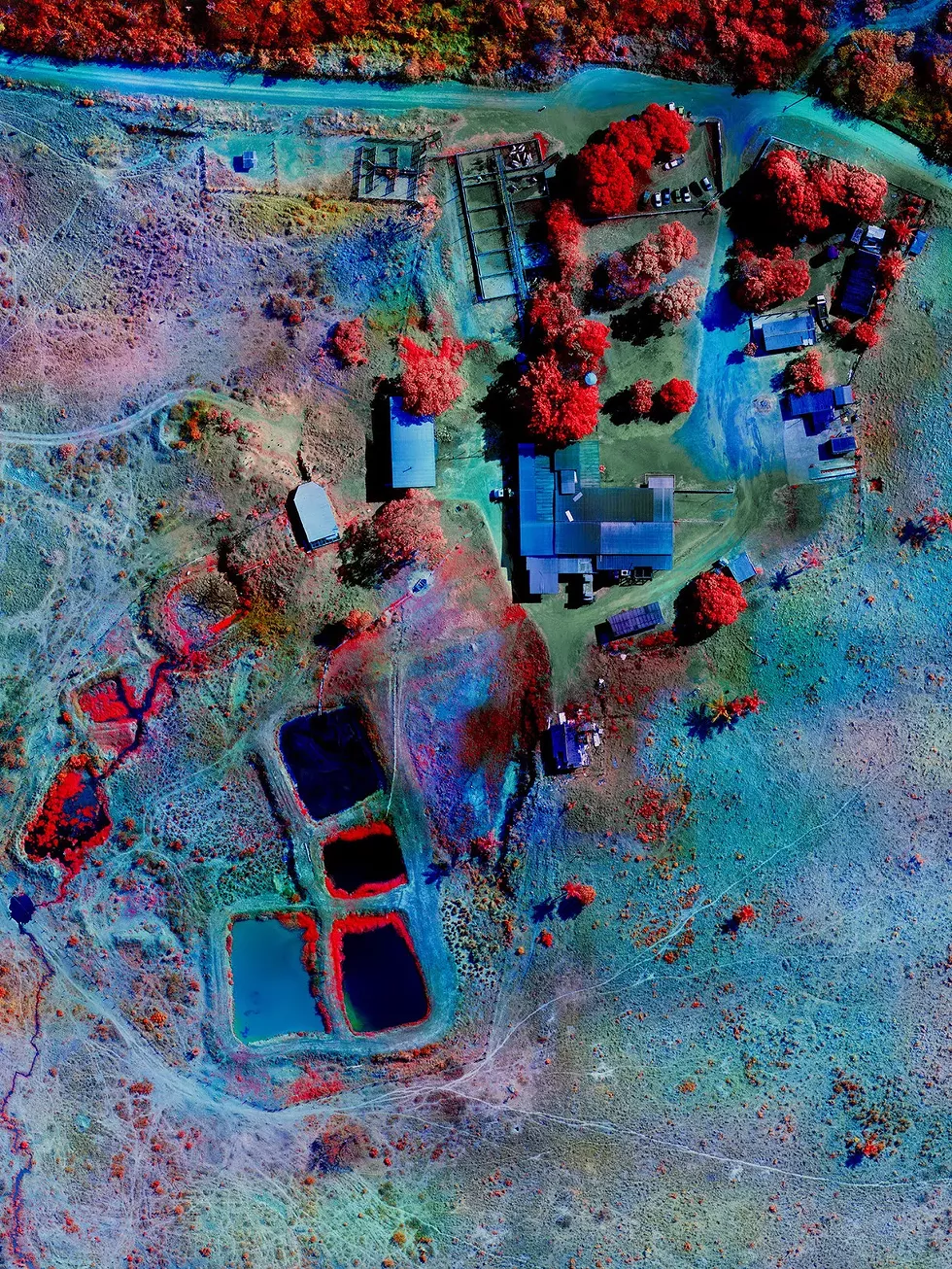 Slaughterhouse, Rond&ocirc;nia, 2021, archival pigment print, courtesy the artist and Jack Shainman Gallery.