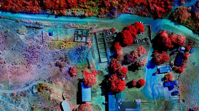 Image: "Landmines"