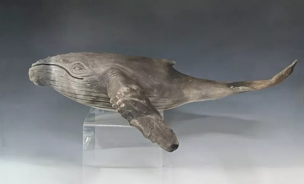 Eileen Sackman, "Humpback Whale" wheel thrown stoneware, pit fired 2026