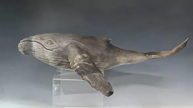 Image: Leviathan River, Whales and the Making of Hudson
