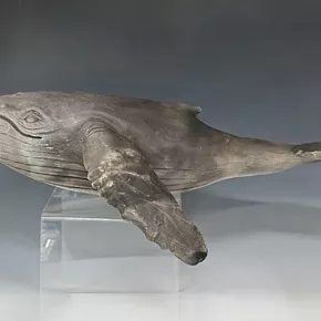 Image: Leviathan River, Whales and the Making of Hudson