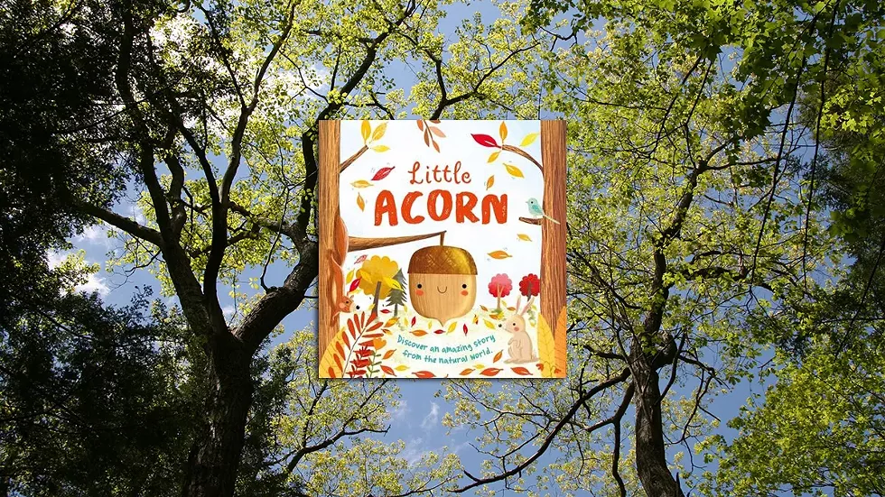 little-acorn-tree-image.webp