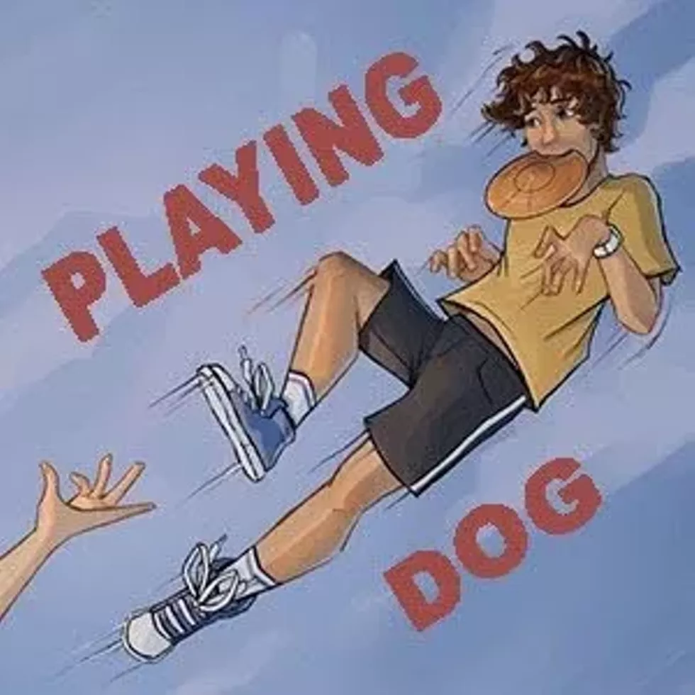 playing_dog_poster.webp