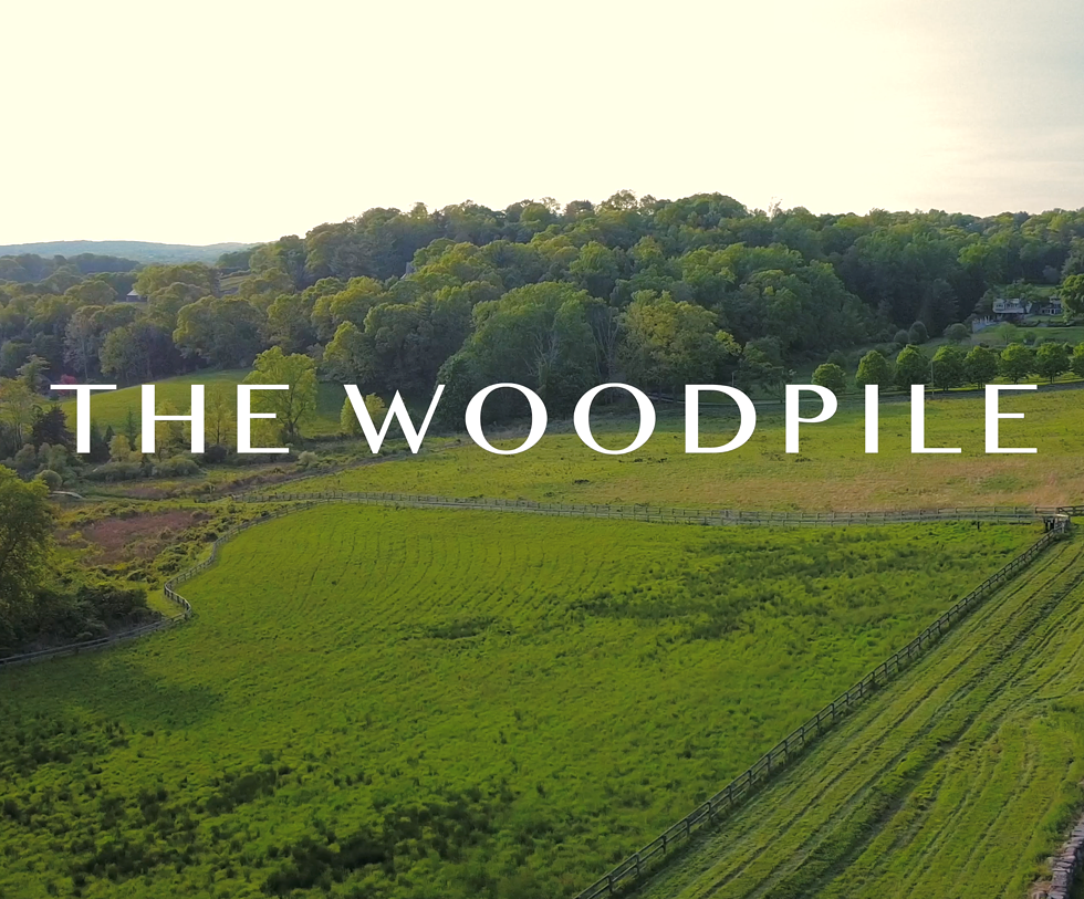 2024-07-23-the-woodpile.png