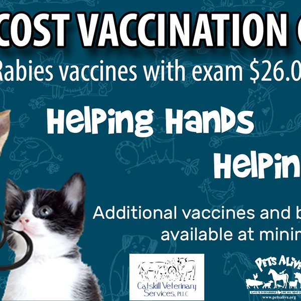 Low Cost Rabbies Vaccination Clinic