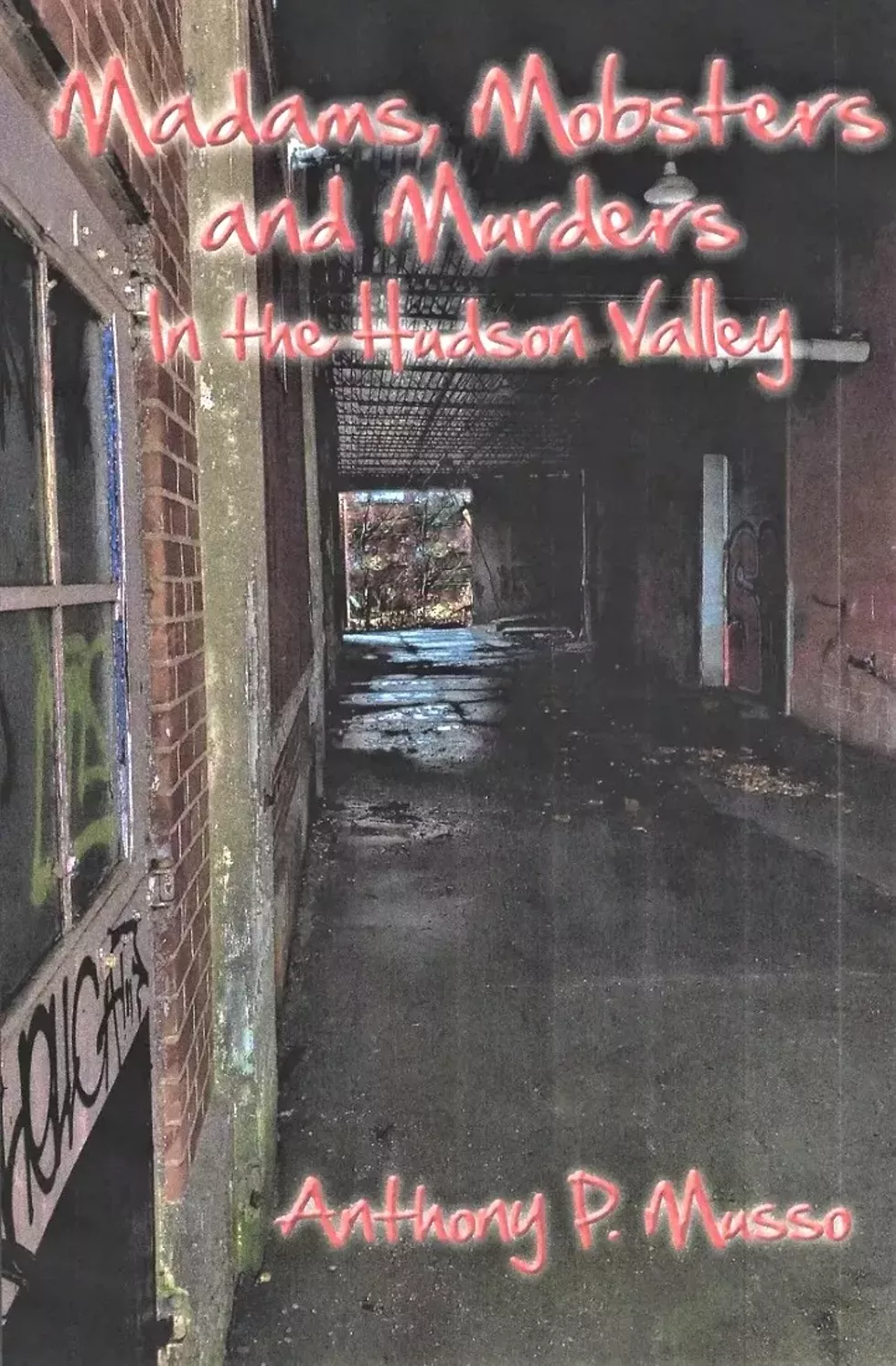 Book cover: Madams Mobsters and Murders in the Hudson Valley
