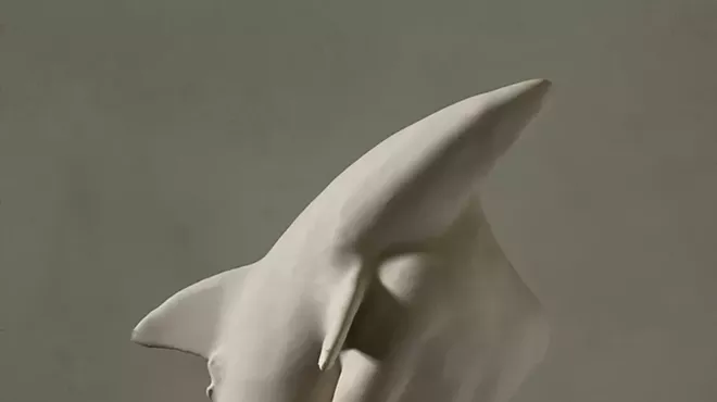 Image: "Man Saves Shark"