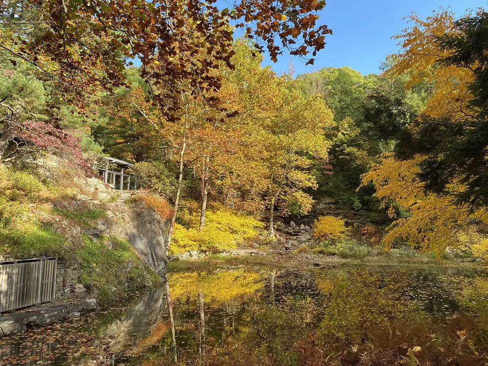autumn_walk.webp