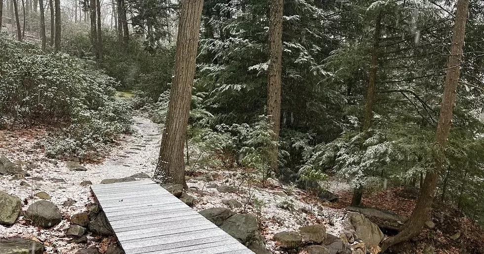 winter_walk.webp