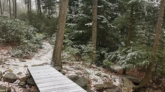 Image: Manitoga in Focus: All Four Seasons, Welcome Winter! Forest Walk & Pine Tea