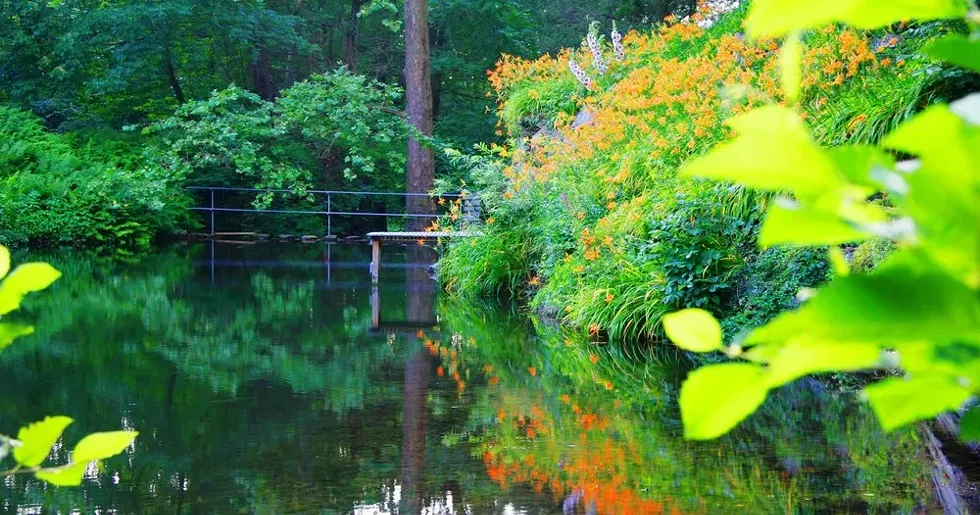 Quarry Pool at Manitoga