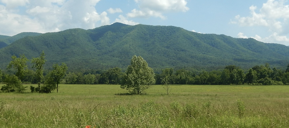 A landscape shot of a large green space, with mountains in the background.