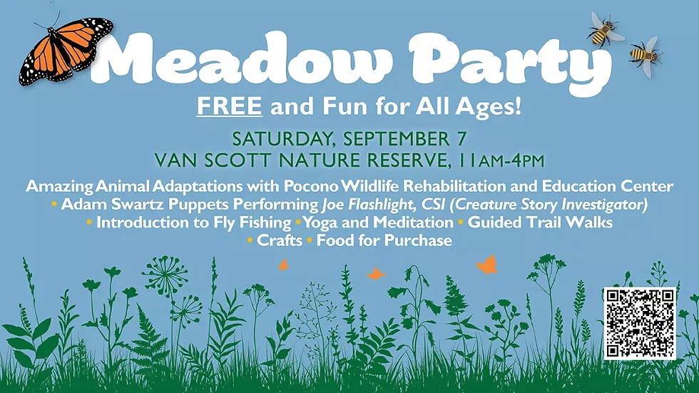 meadow-party-2024.webp