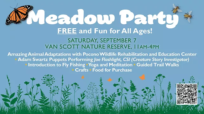 Image: Meadow Party