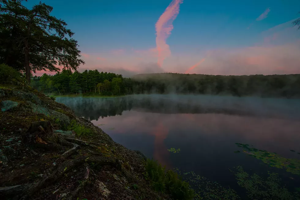 dsc-2857.webp
