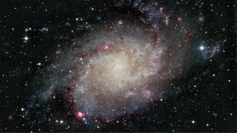 M33
