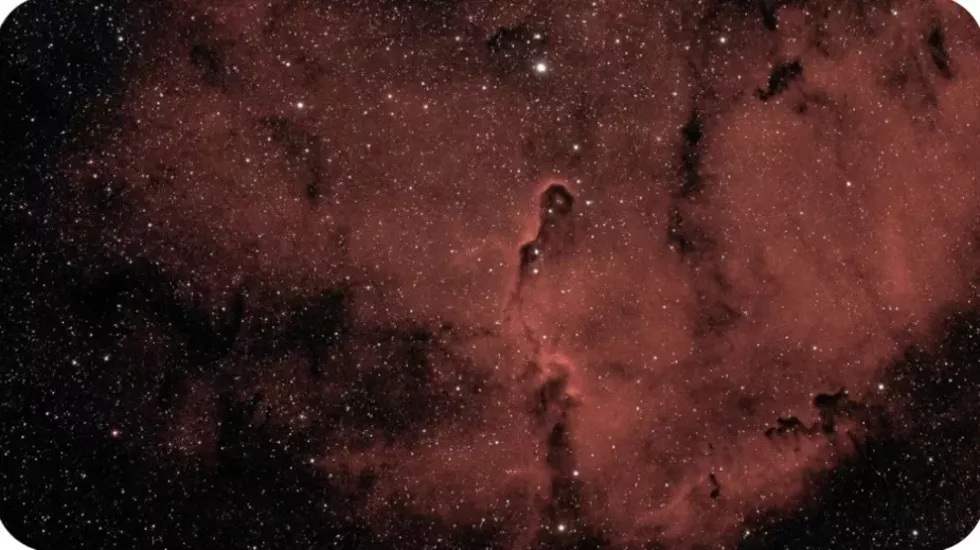The Elephant Trunk Nebula